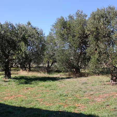 Appartamento With Parking Spaces Bibinje, Zadar - 5753 Bibinje