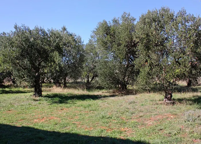公寓 With Parking Spaces Bibinje, Zadar - 5753 比比涅